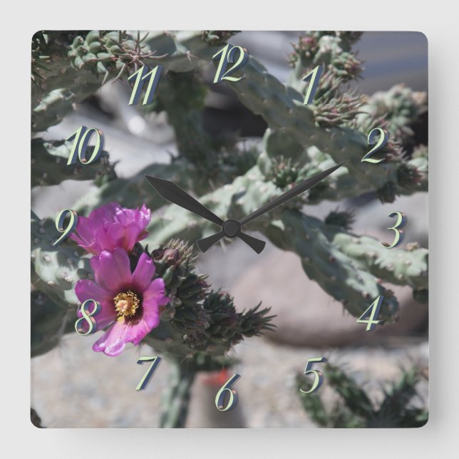 Challa Cactus in bloom Fyrkantig Klocka (Framsida)