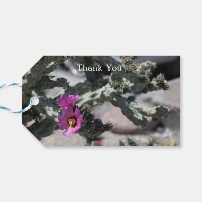 Challa Cactus in bloom Presentetikett (Baksidan Horisontell)