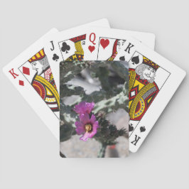 Challa Kaktus i blomning Casinokort