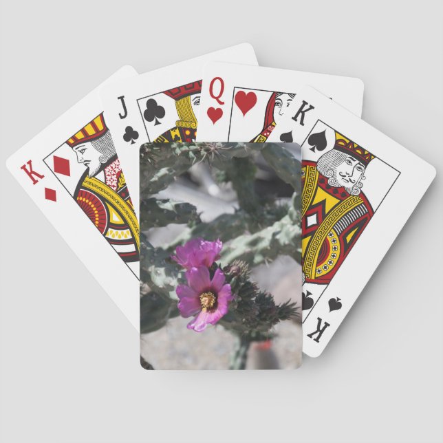 Challa Kaktus i blomning Casinokort (Baksidan)