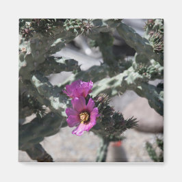 Challa Kaktus i blomning Magnet