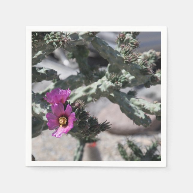 Challa Kaktus i blomning Pappersservett (Framsidan)