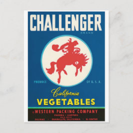 Challenger Rodeo Salinas El Centro Guadalupe CA Vykort