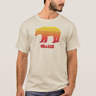 Challis Idaho Rainbow Bear T Shirt