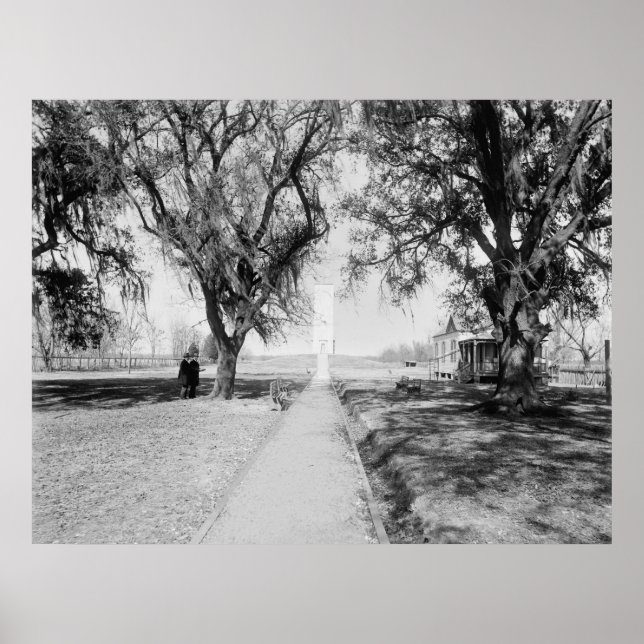 Chalmette Monument: 1900 Poster (Framsidan)