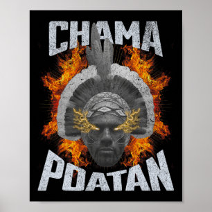 Chama Paotan Mma Fläkt Jjb Boxing Muay Thai Poster