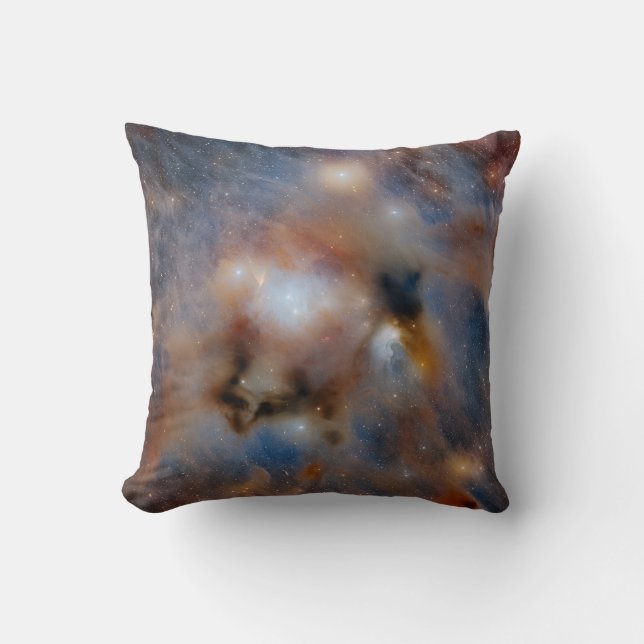 Chamaeleon I Mörka molnet Kudde (Framsida)