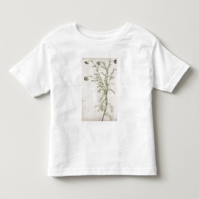 Chamaemelum nobile Allioni, c.1568 T-shirt (Framsida)