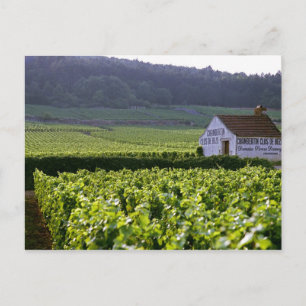 Chambertin Clos de Beze Grand Cru vineyard med Vykort