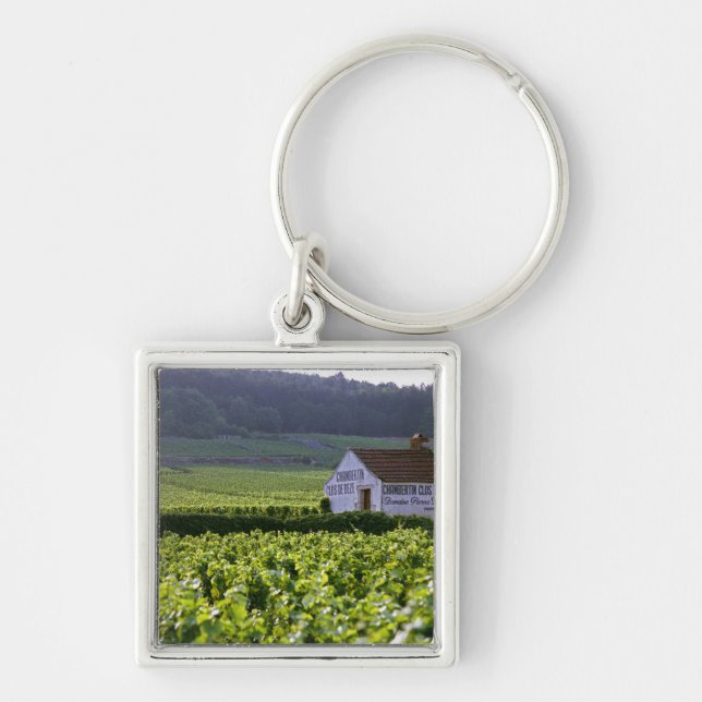 Chambertin Clos de Beze Grand Cru vingård med Fyrkantig Silverfärgad Nyckelring (Framsidan)