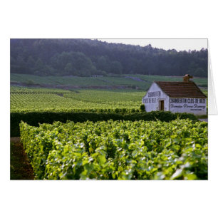 Chambertin Clos de Beze Grand Cru vingård med Hälsningskort