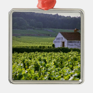 Chambertin Clos de Beze Grand Cru vingård med Julgransprydnad Metall