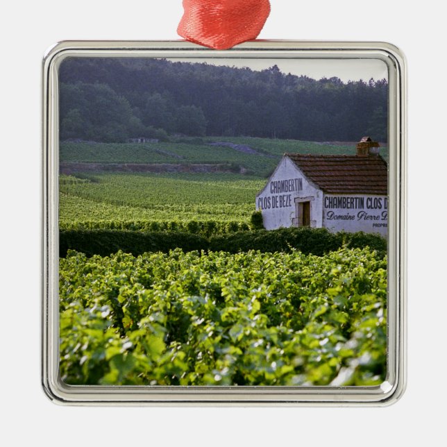 Chambertin Clos de Beze Grand Cru vingård med Julgransprydnad Metall (Framsidan)