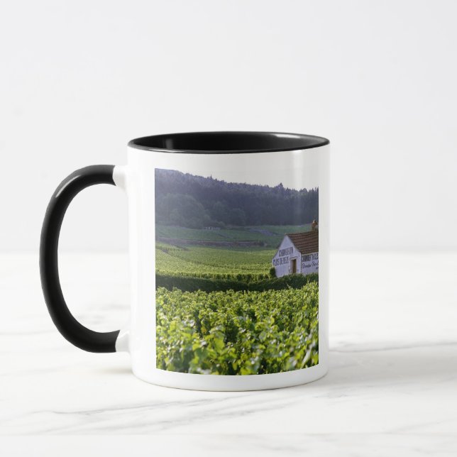 Chambertin Clos de Beze Grand Cru vingård med Mugg (Vänster)