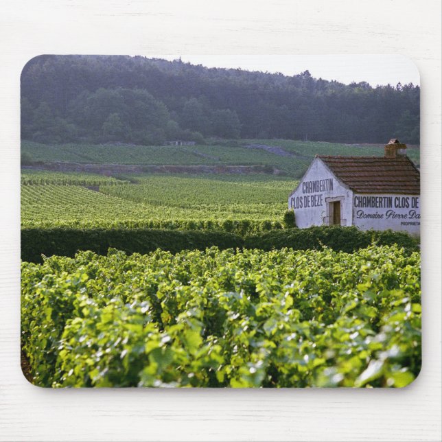 Chambertin Clos de Beze Grand Cru vingård med Musmatta (Framsidan)