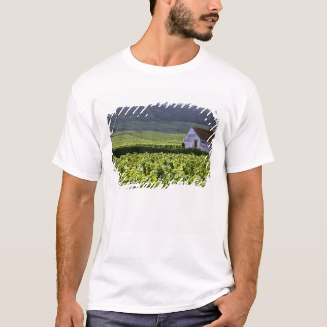 Chambertin Clos de Beze Grand Cru vingård med Tee Shirt (Framsida)