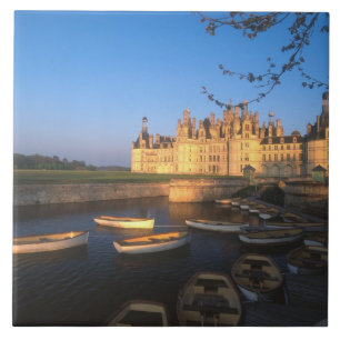 Chambord Slott, Loire-dalen, Loir-et-Cher, Kakelplatta