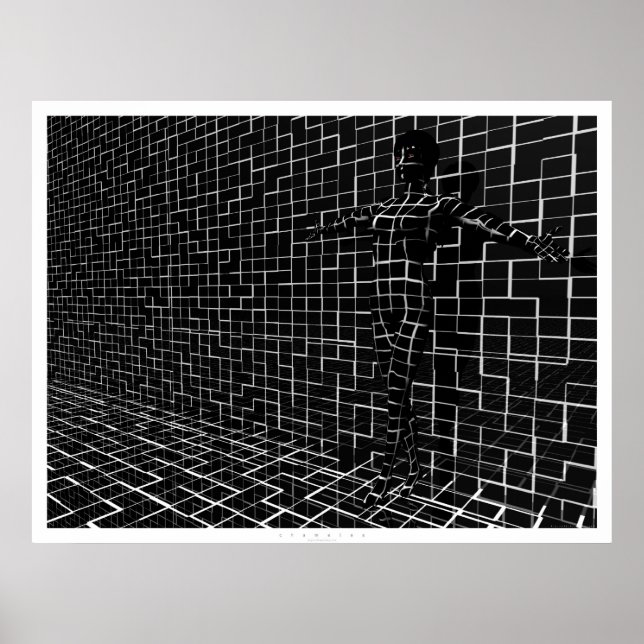 Chamelea Poster (Framsidan)