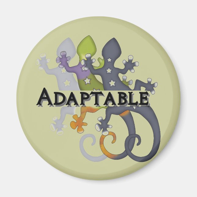 Chameleon Adaptable Magnet (Framsidan)