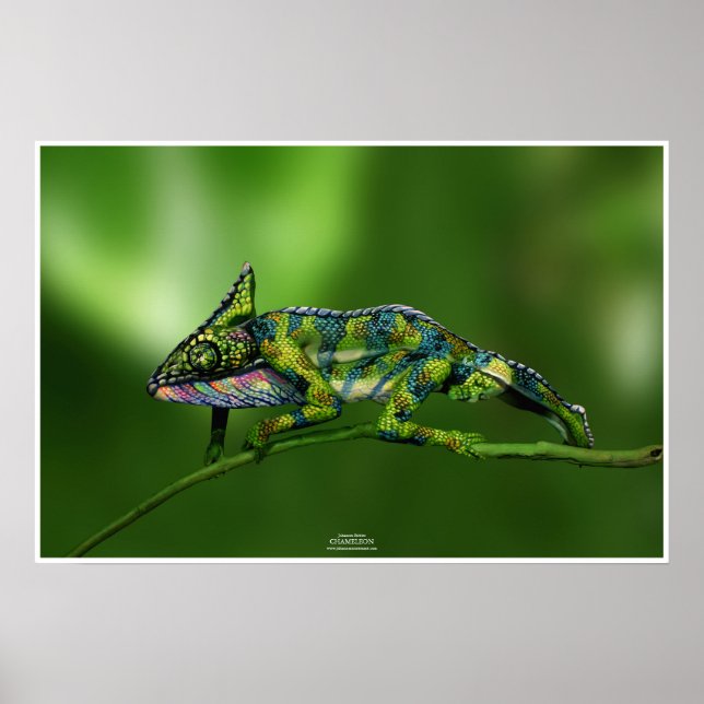 Chameleon by Johannes Stötter Poster (Framsidan)