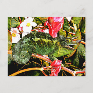 Chameleon Charisma Vykort