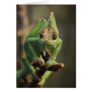 Chameleon Hälsningskort