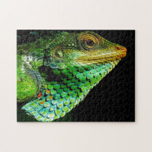 Chameleon Head Close-up, Jigszawa Puzzle