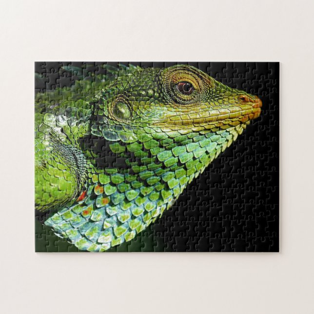 Chameleon Head Close-up, Jigszawa Puzzle Pussel (Horisontell)