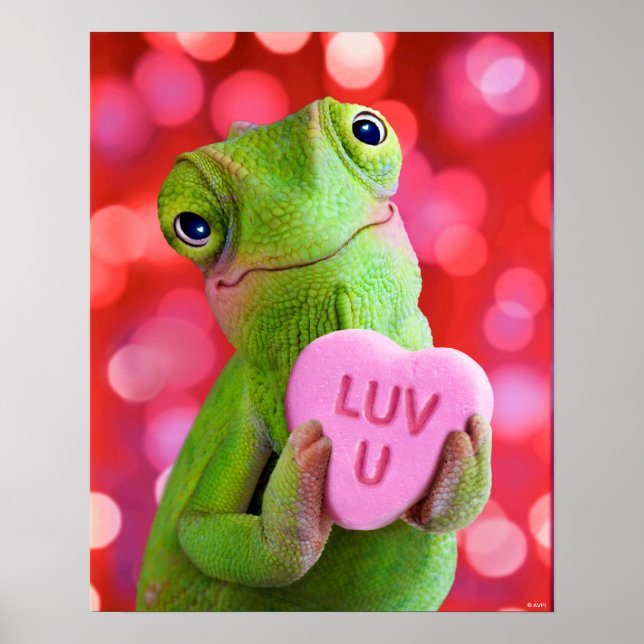 Chameleon Heart (Luv U) Poster (Framsidan)