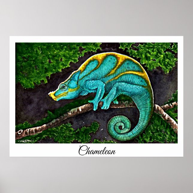 Chameleon Life Poster (Framsidan)