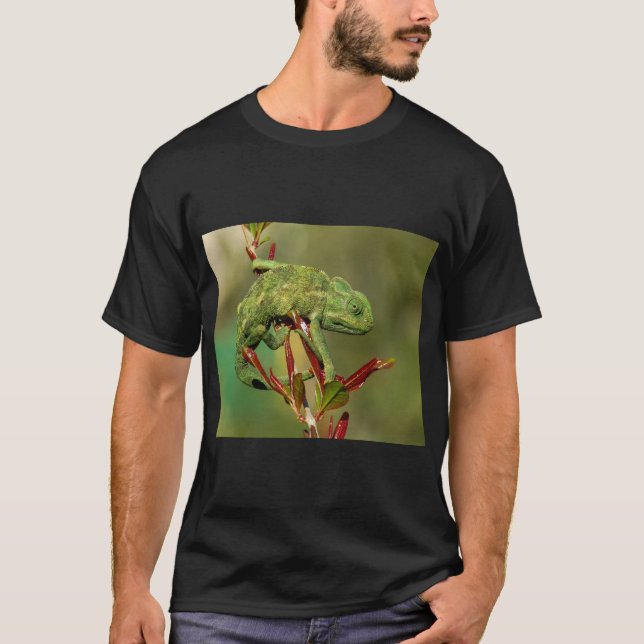 Chameleon Lizard Nature T Shirt (Framsida)