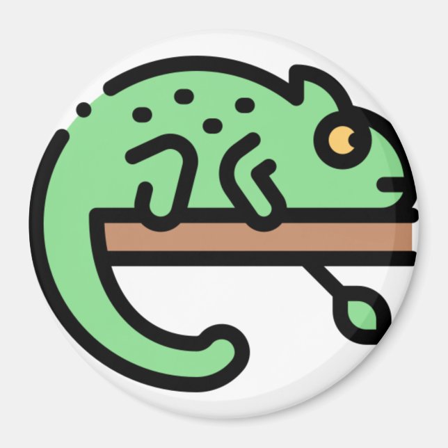 Chameleon Magnet (Framsidan)