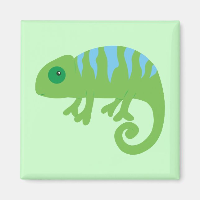 Chameleon Magnet (Framsidan)
