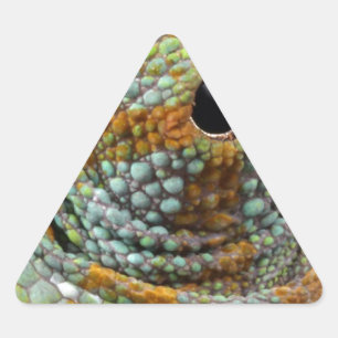 Chameleon Öga Mod Snyggt Animal Triangelformat Klistermärke