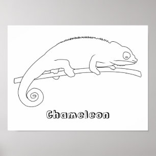 Chameleon Outline Teckning Poster