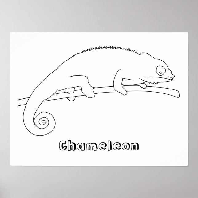 Chameleon Outline Teckning Poster (Framsidan)