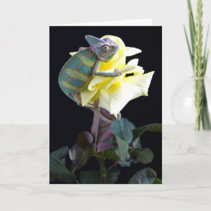 Chameleon på Gul ros Kort