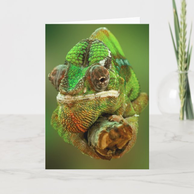 Chameleon Photo Kort (Framsida)