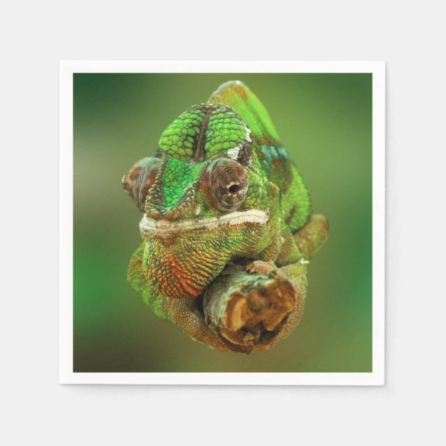 Chameleon Photo Pappersservett (Framsidan)