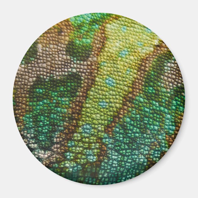 Chameleon Skin Struktur-mall Magnet (Framsidan)