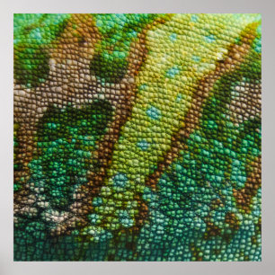 Chameleon Skin Struktur-mall Poster
