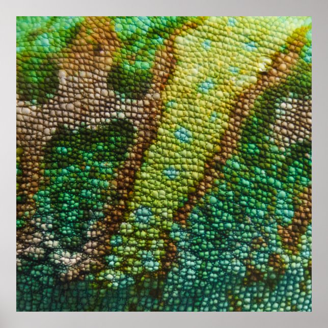 Chameleon Skin Struktur-mall Poster (Framsidan)