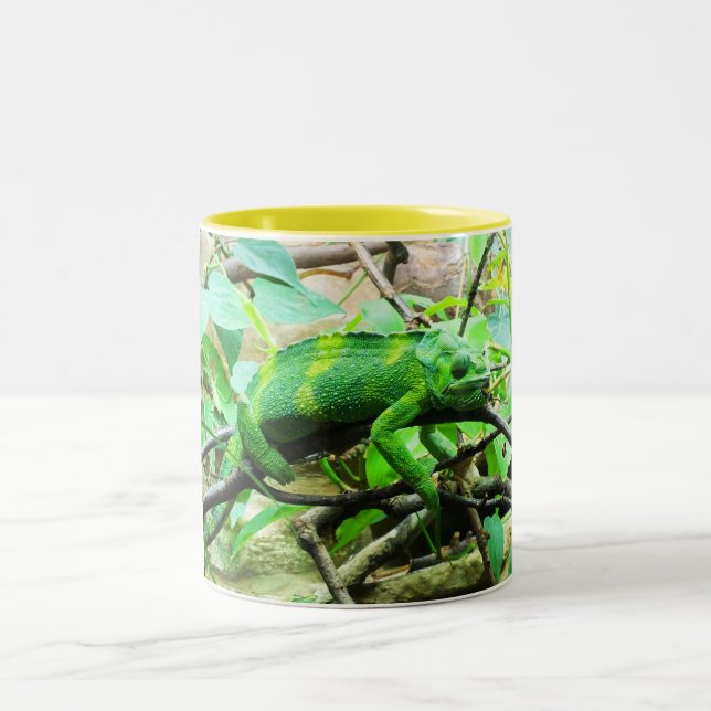 Chameleon Två-Tonad Mugg (Center)