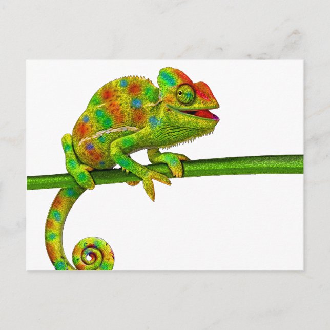 Chameleon Vykort (Framsida)