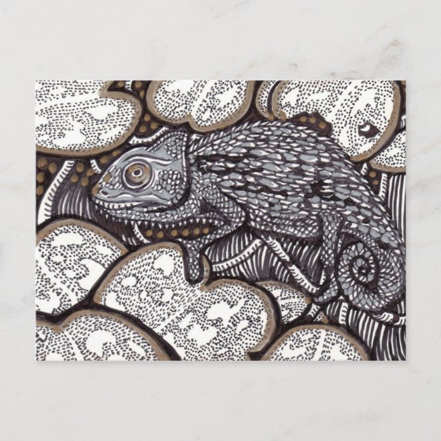 Chameleon Vykort (Framsida)