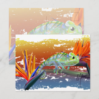 Chameleon vykort