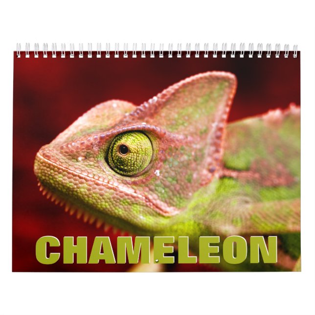 Chameleon Wall Calendar Kalender (Omslag)