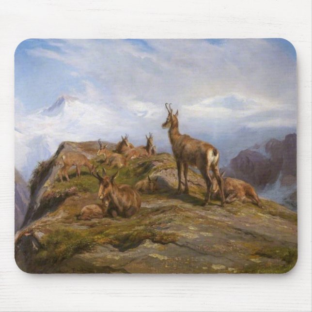 Chamois Goats i Alpregionen (Rosa Bonheur) Musmatta (Framsidan)