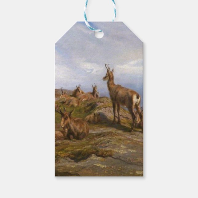 Chamois Goats i Franskens Alperna Mountain Range Presentetikett (Framsidan)