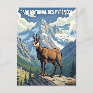Chamois in Frankrike Pyrenees nationalpark Travel Vykort
